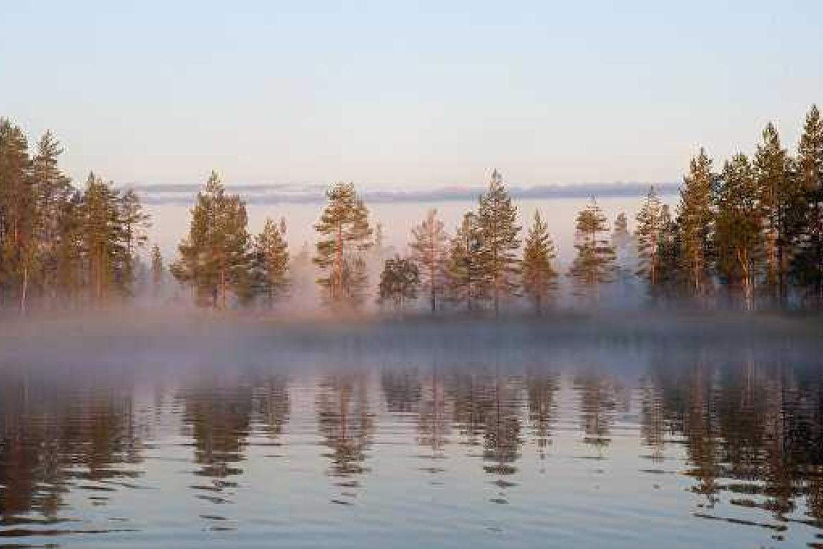 По делу о гибели детей в Карелии задержаны 4 человека По делу о гибели детей в Карелии задержаны 4 человека