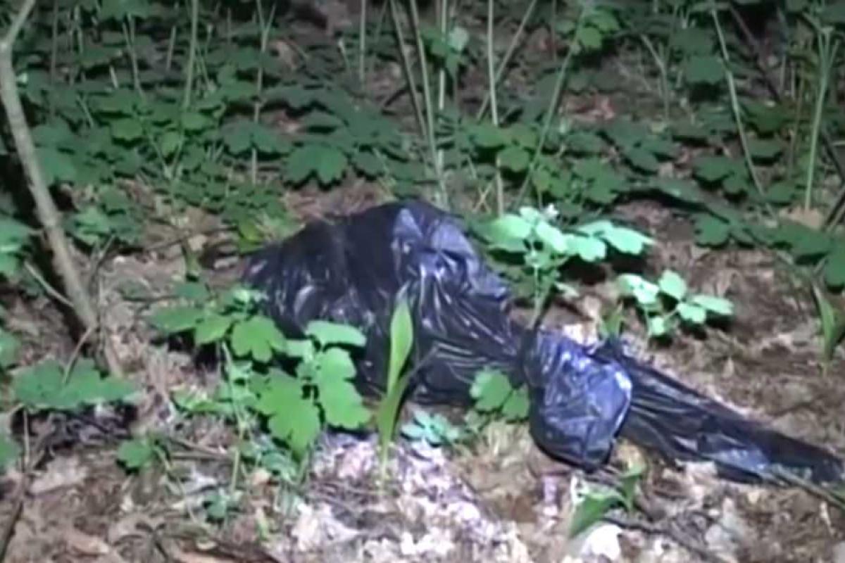 18-летний москвич убил и расчленил молодую учительницу в Киеве 18-летний москвич убил и расчленил молодую учительницу в Киеве