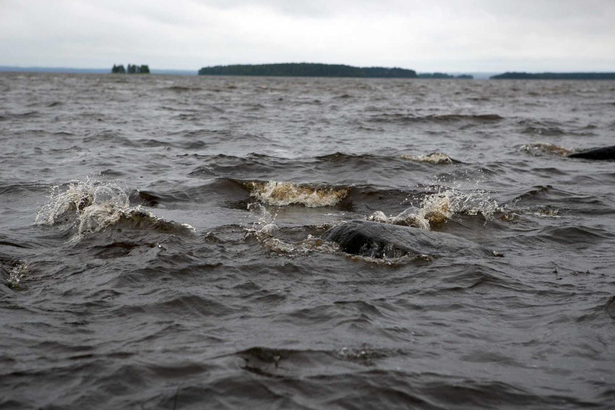 Судмедэксперты: Большинство детей на Сямозере погибли от тяжёлых травм Судмедэксперты: Большинство детей на Сямозере погибли от тяжёлых травм