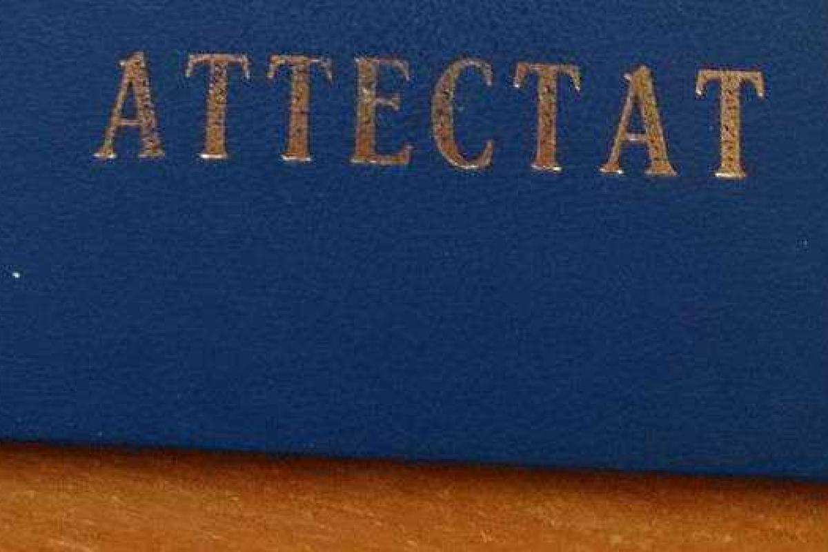 Пользователи Сети заметили ошибки в школьных аттестатах "ЛНР" Пользователи Сети заметили ошибки в школьных аттестатах "ЛНР"