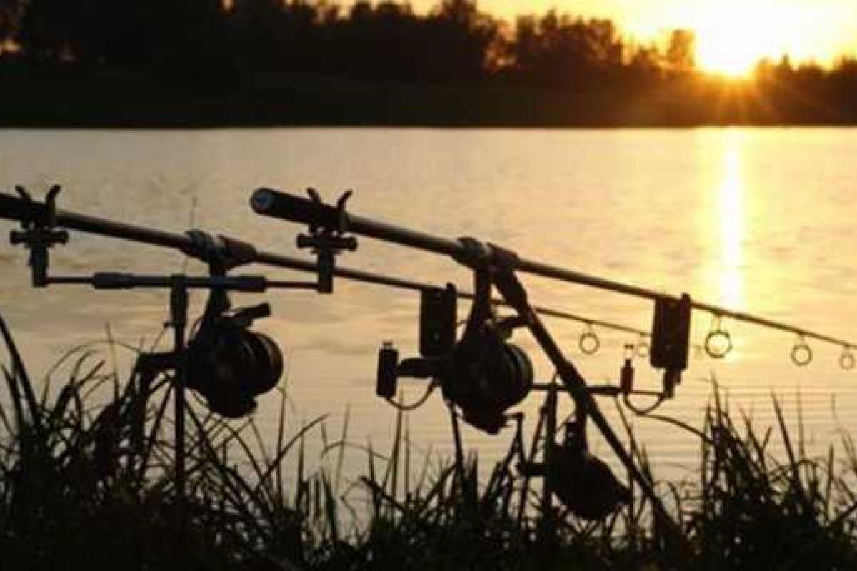 Нелепая смерть: на Закарпатье погиб рыбак, задев удочкой провода