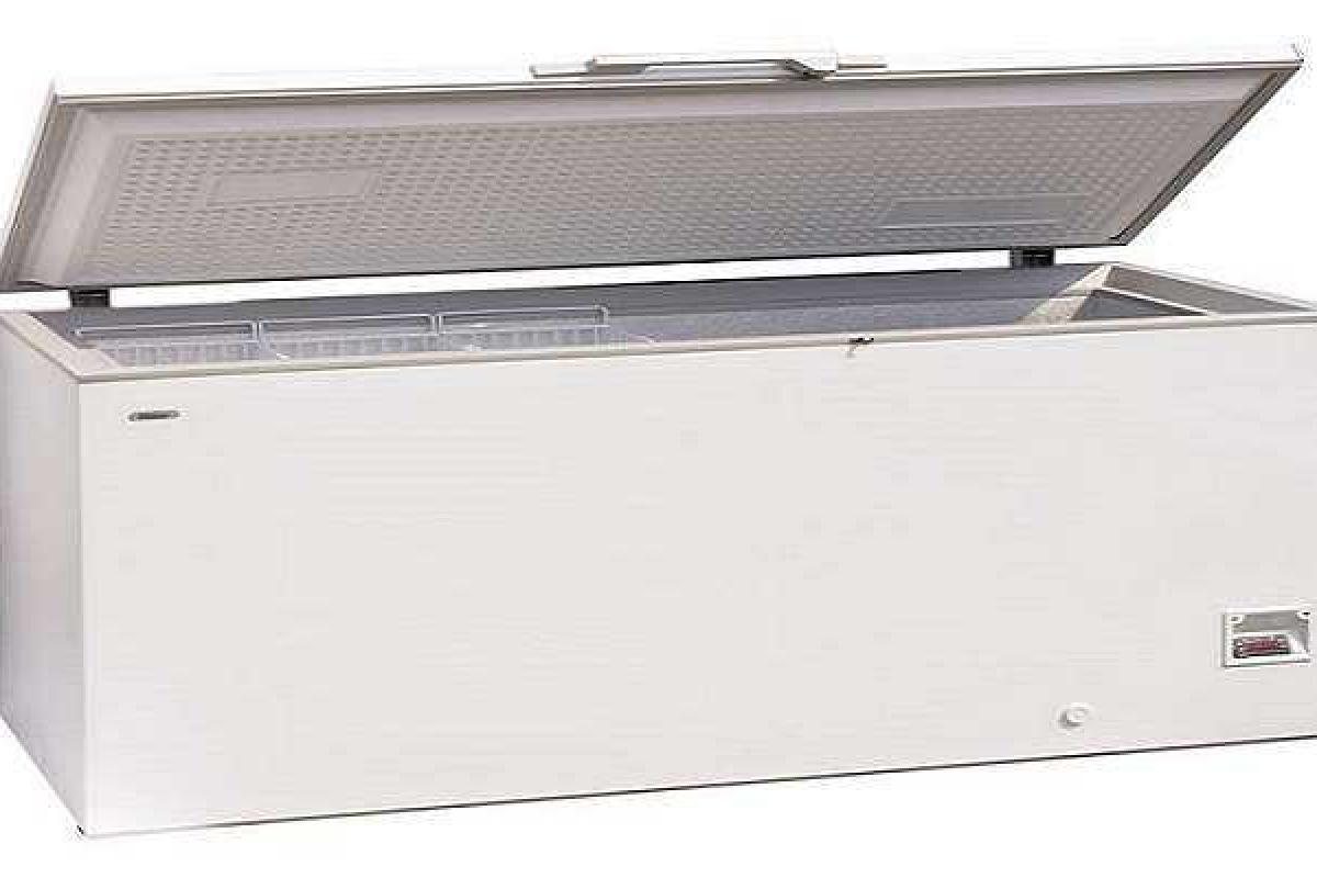 В США женщина купила морозильную камеру с трупом внутри В США женщина купила морозильную камеру с трупом внутри