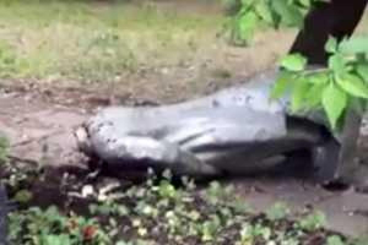 "Ленинопад" добрался до Москвы "Ленинопад" добрался до Москвы