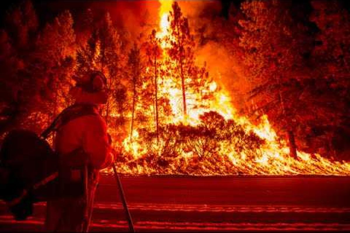 Калифорния страдает от мощных лесных пожаров Калифорния страдает от мощных лесных пожаров