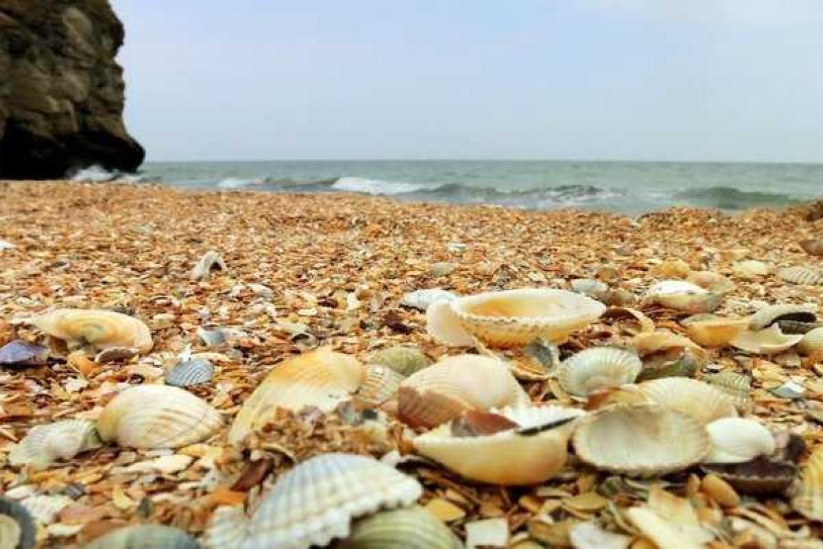 Туристы решили уйти: пляжи Крыма снова позабавили «толпами» людей Туристы решили уйти: пляжи Крыма снова позабавили «толпами» людей