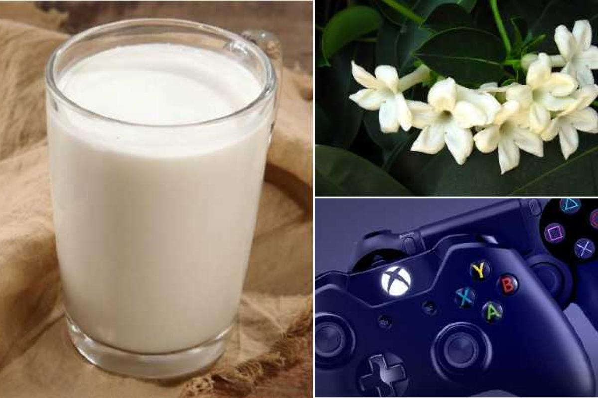 11 самых странных запретов в разных странах мира