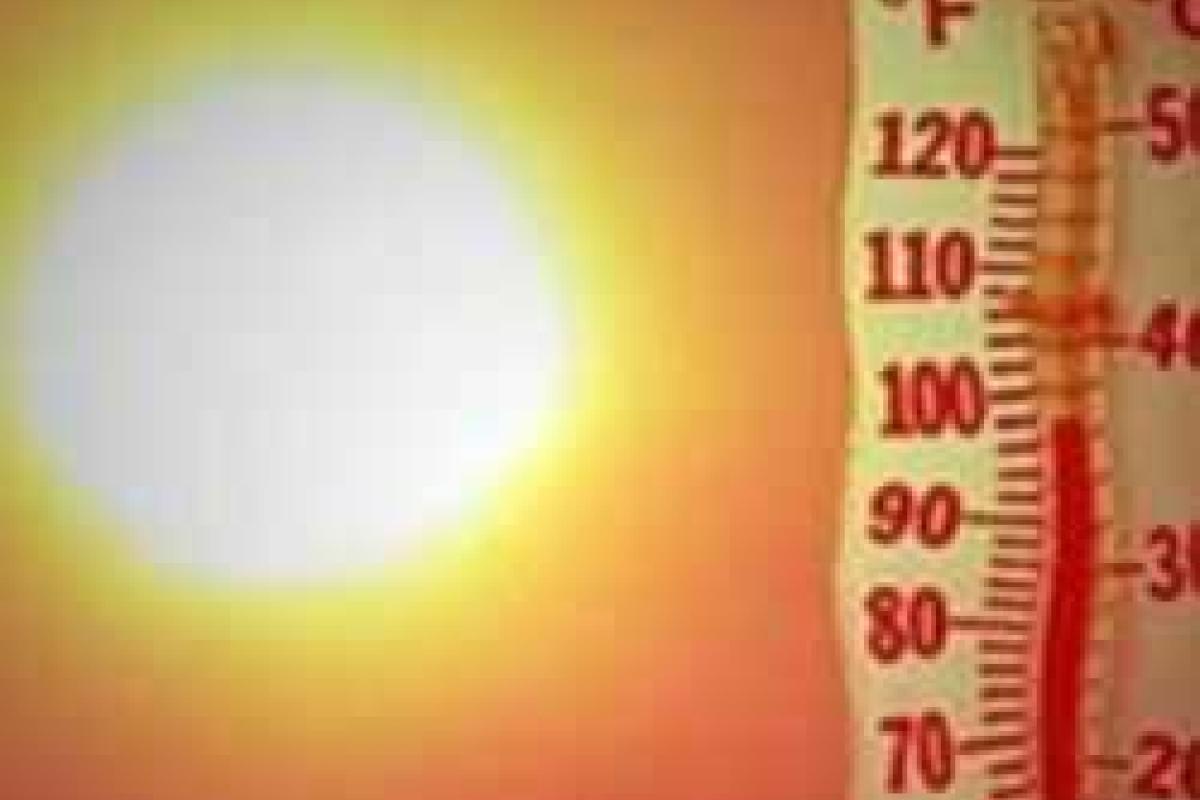 Ученые: Глобальное повышение температуры сделает продукты токсичными