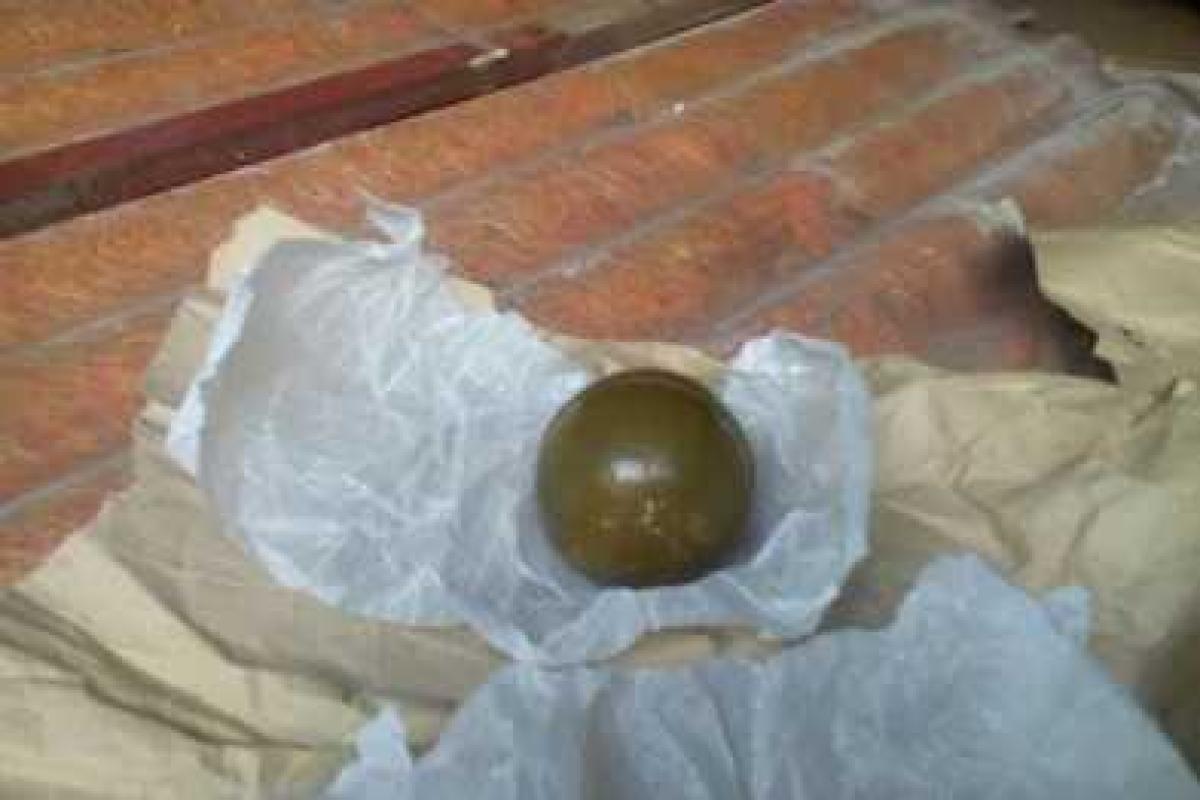 В Мариуполе полицейские обнаружили дома у ранее судимого мужчины гранату и патроны В Мариуполе полицейские обнаружили дома у ранее судимого мужчины гранату и патроны