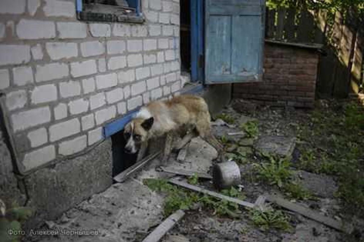 Бойцы подорвались на мине под Мариуполем: есть жертвы Бойцы подорвались на мине под Мариуполем: есть жертвы