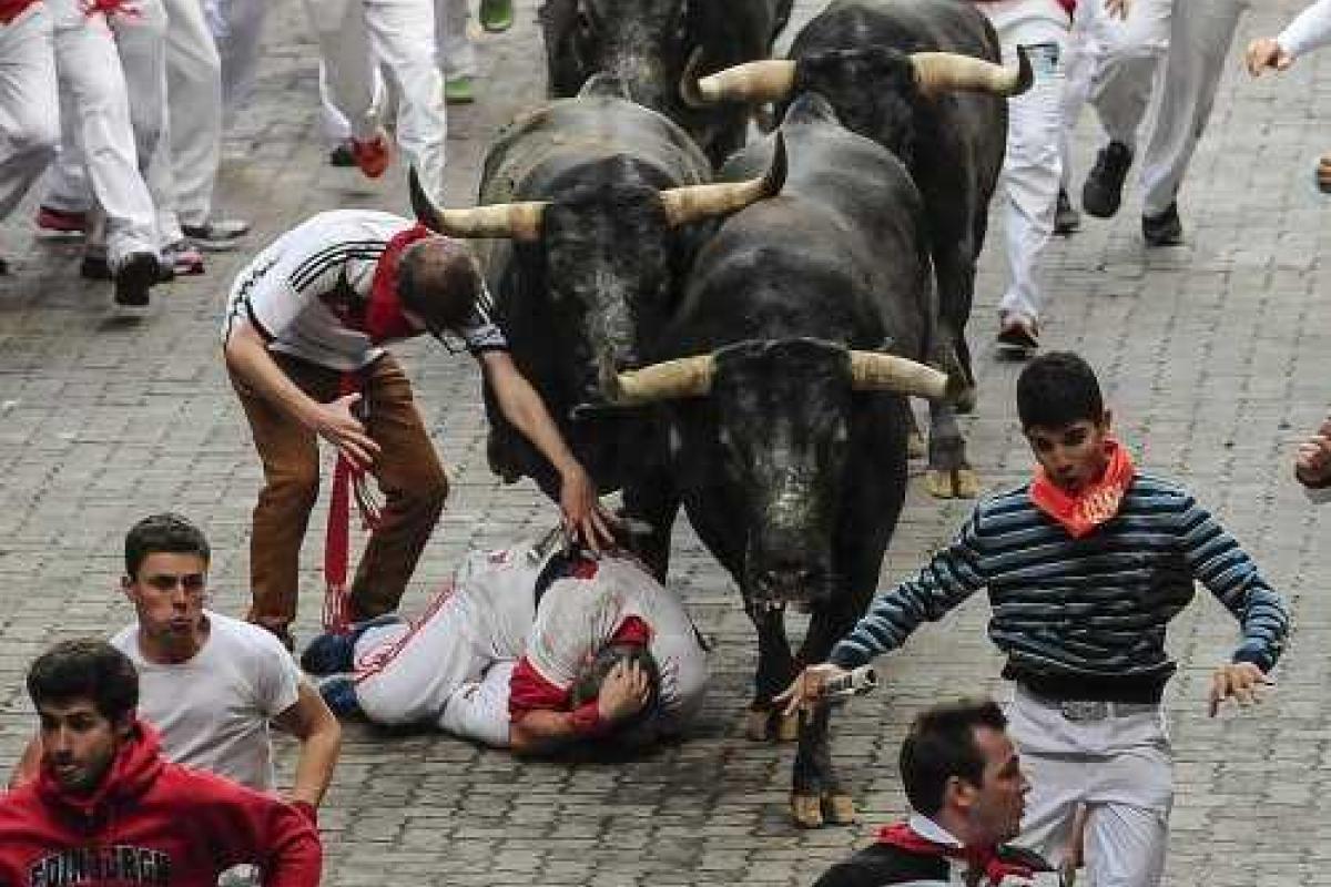 В Испании разъярённые быки травмировали 4-х человек В Испании разъярённые быки травмировали 4-х человек