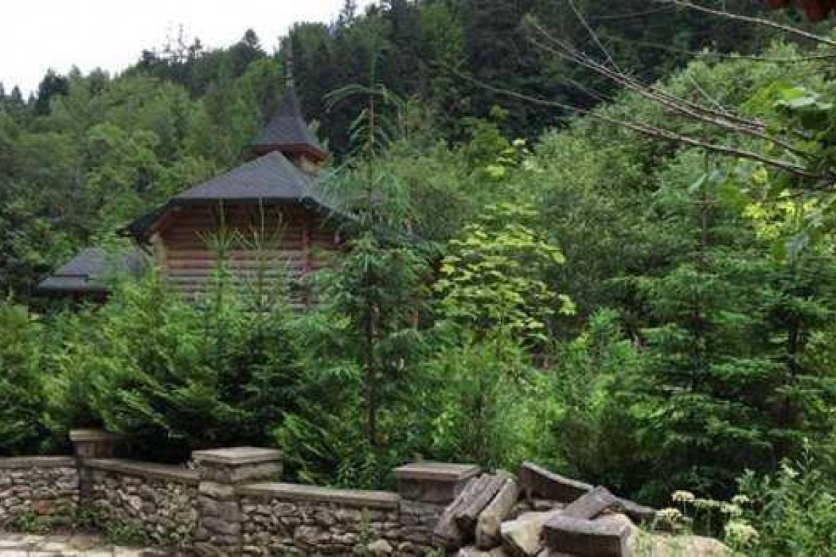 В сети появились фото заброшенной резиденции Ющенко В сети появились фото заброшенной резиденции Ющенко