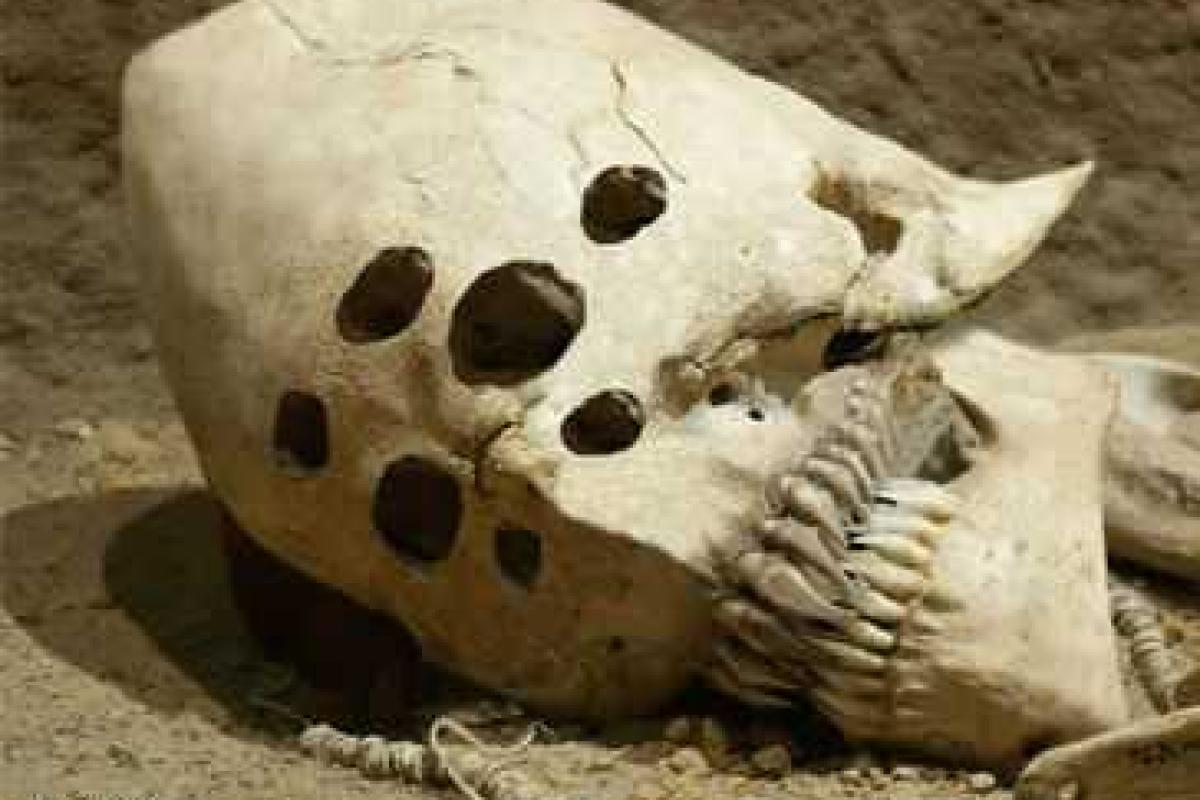 Марсоходу удалось заснять на поверхности Красной планеты скелет пришельца с двумя головами