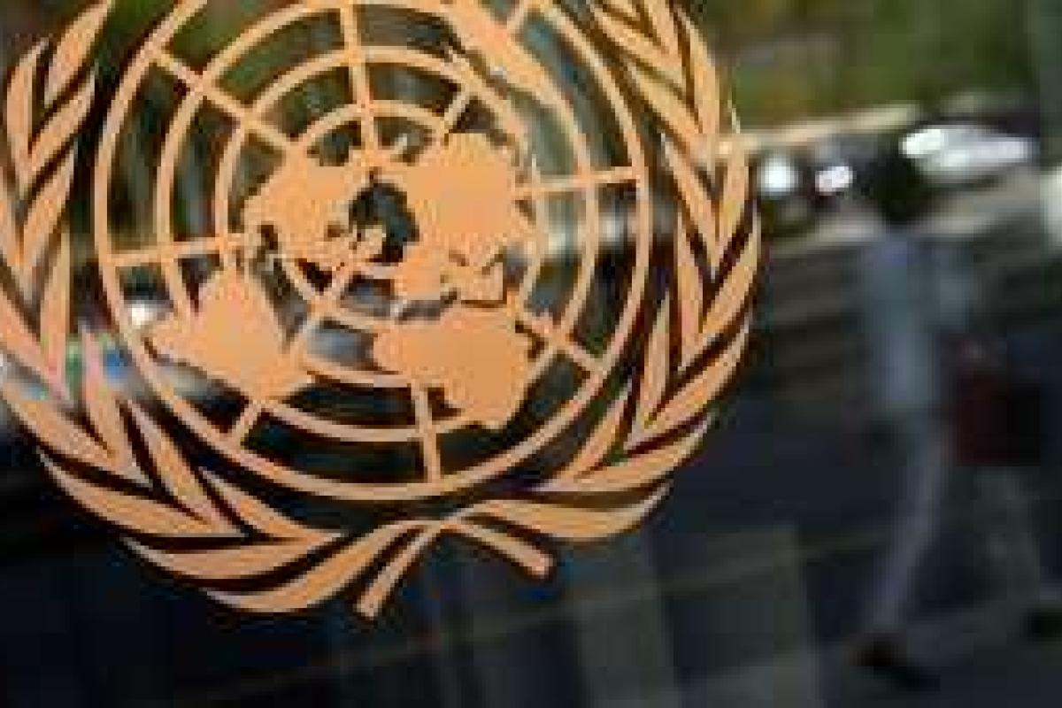 В Крыму без суда и следствия казнили человека, - доклад ООН В Крыму без суда и следствия казнили человека, - доклад ООН