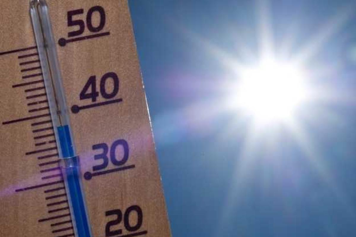 В Киеве ожидается чрезвычайная пожарная опасность В Киеве ожидается чрезвычайная пожарная опасность