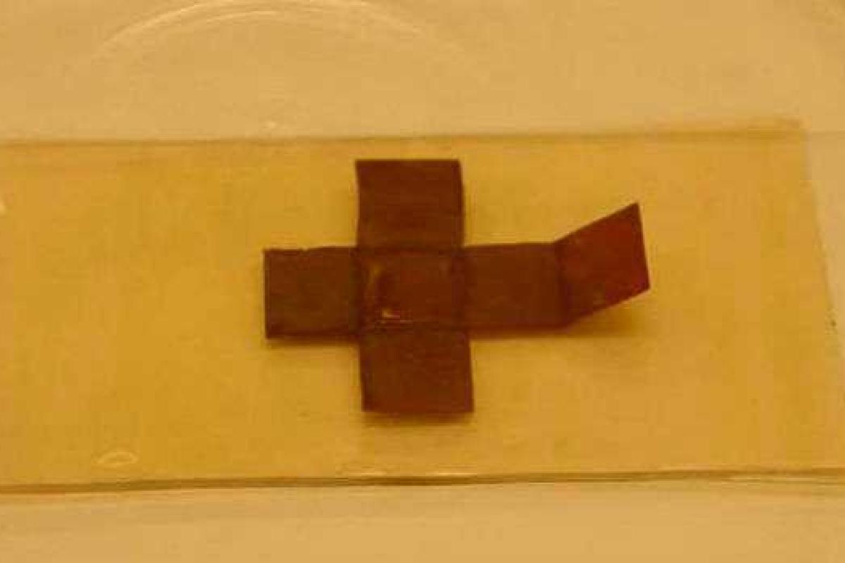 Ученые создали умный материал, который способен менять форму Ученые создали умный материал, который способен менять форму