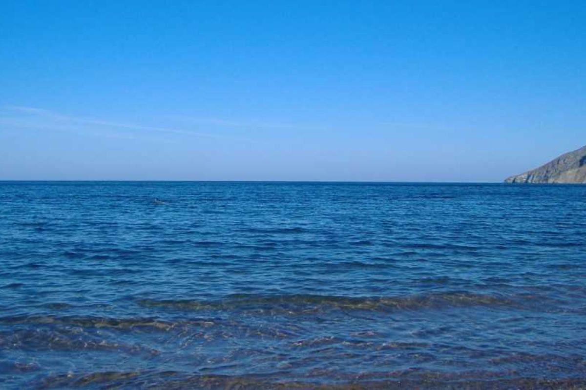 Россияне назвали Крым помойкой, выбрав для отдыха Турцию Россияне назвали Крым помойкой, выбрав для отдыха Турцию