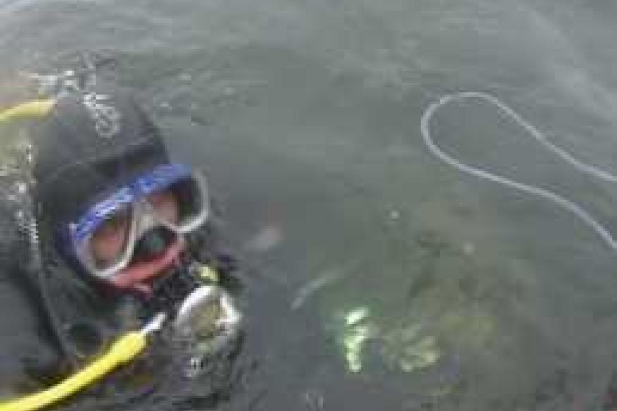 В Киеве водолазы достали тело мужчины из озера