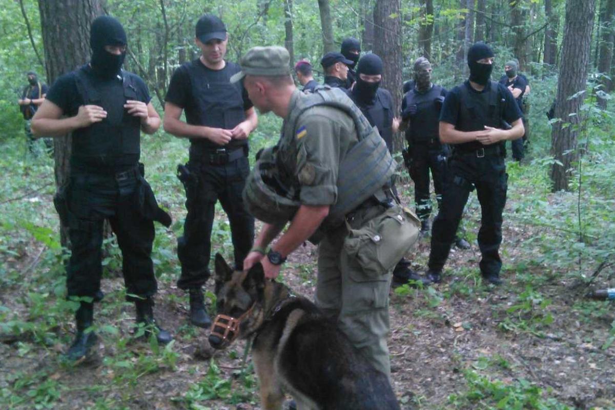 В лесу под Киевом - огромное количество вооруженных силовиков, - СМИ В лесу под Киевом - огромное количество вооруженных силовиков, - СМИ