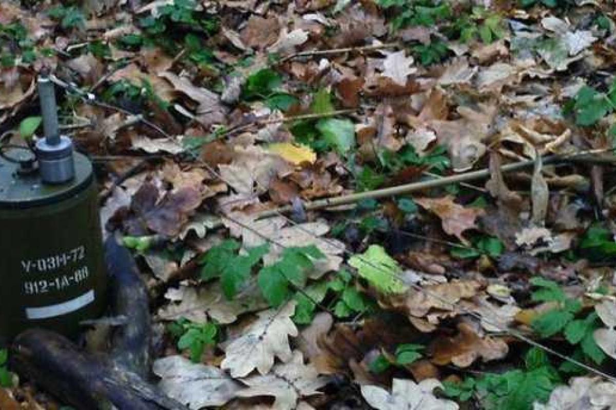 На Луганщине рыбаки подорвались на растяжке боевиков