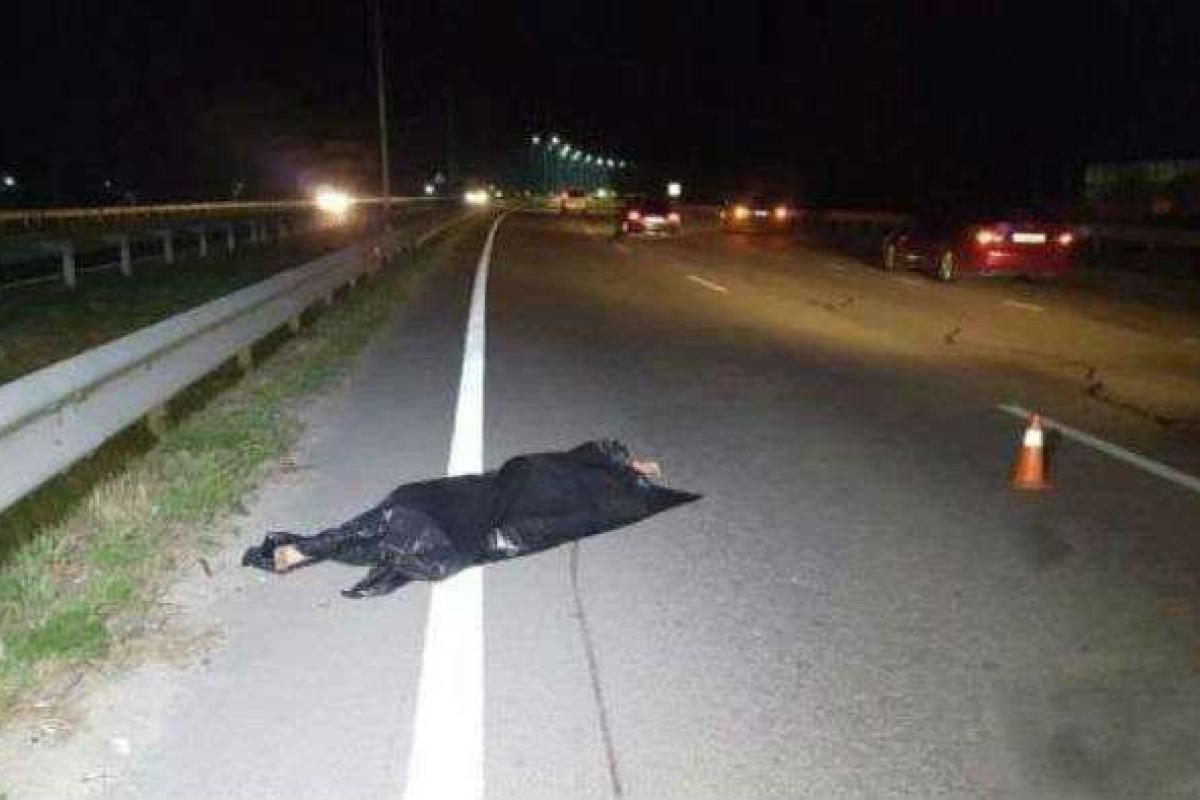 В Киеве страшное ДТП: автомобиль на большой скорости сбил насмерть парня В Киеве страшное ДТП: автомобиль на большой скорости сбил насмерть парня