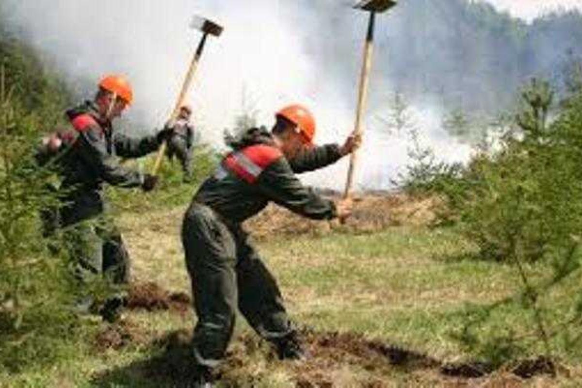 Россию охватили лесные пожары: тундра выгорает тысячами гектаров, люди задыхаются от смога Россию охватили лесные пожары: тундра выгорает тысячами гектаров, люди задыхаются от смога