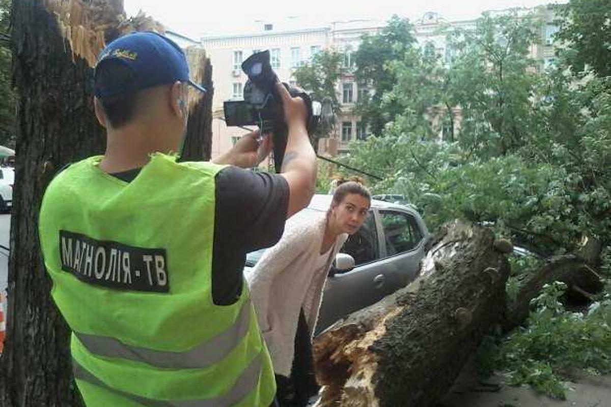 В Киеве большое дерево рухнуло на машины с людьми