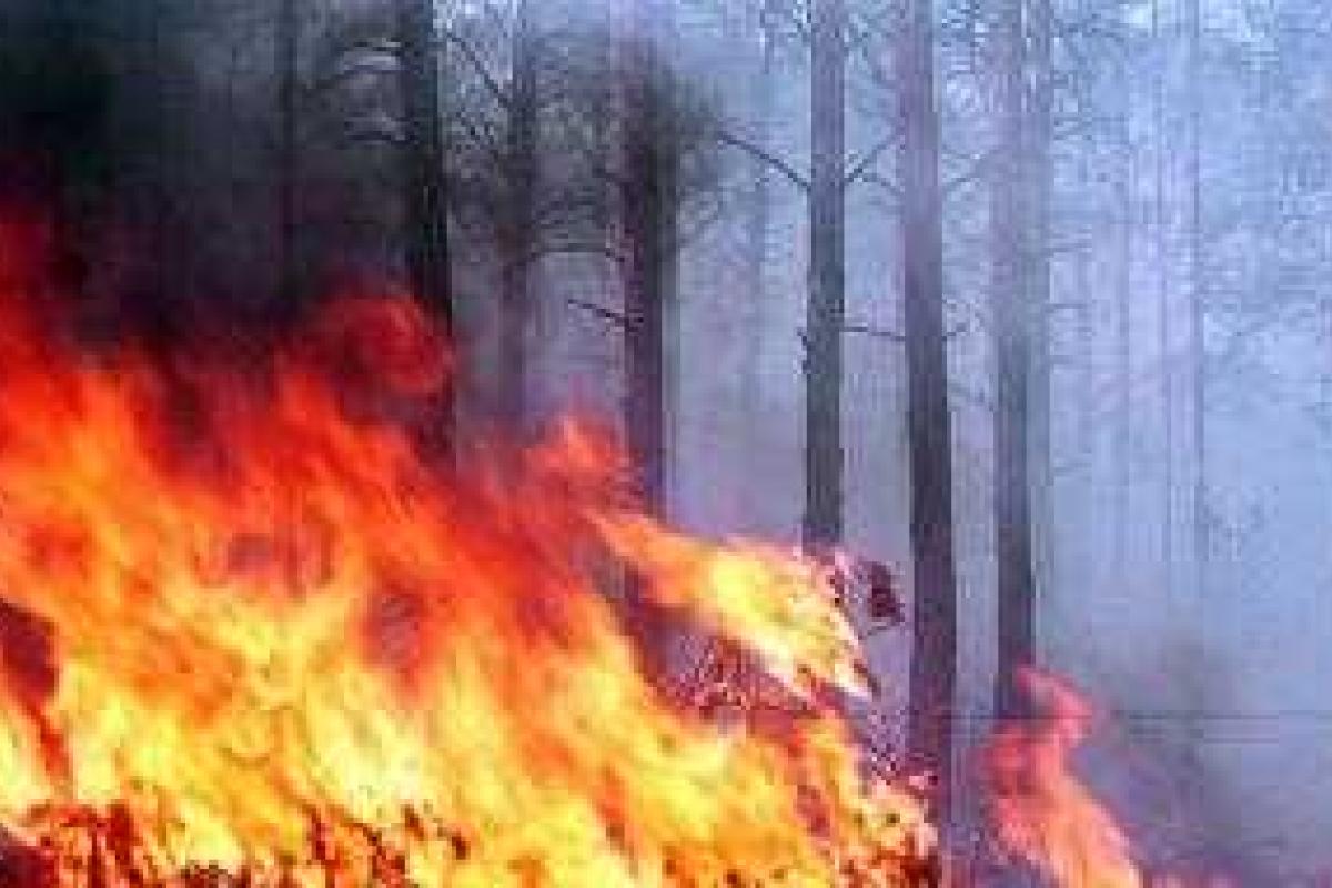 В зоне АТО случился пожар: горел полигон с мусором, пожарные боролись с огнем всю ночь