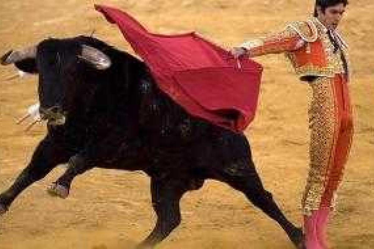 В Испании трагическую гибель матадора показали в прямом эфире В Испании трагическую гибель матадора показали в прямом эфире