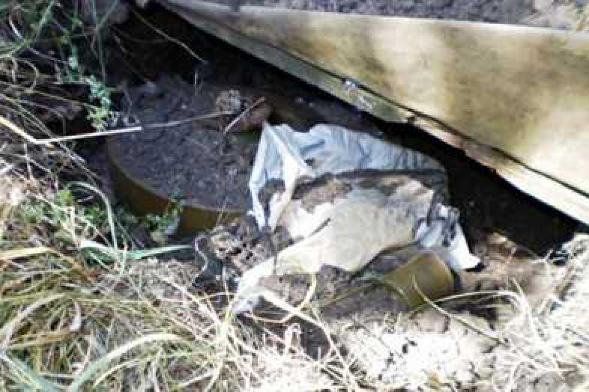 В Донецкой области правоохранители нашли тайник с боеприпасами В Донецкой области правоохранители нашли тайник с боеприпасами