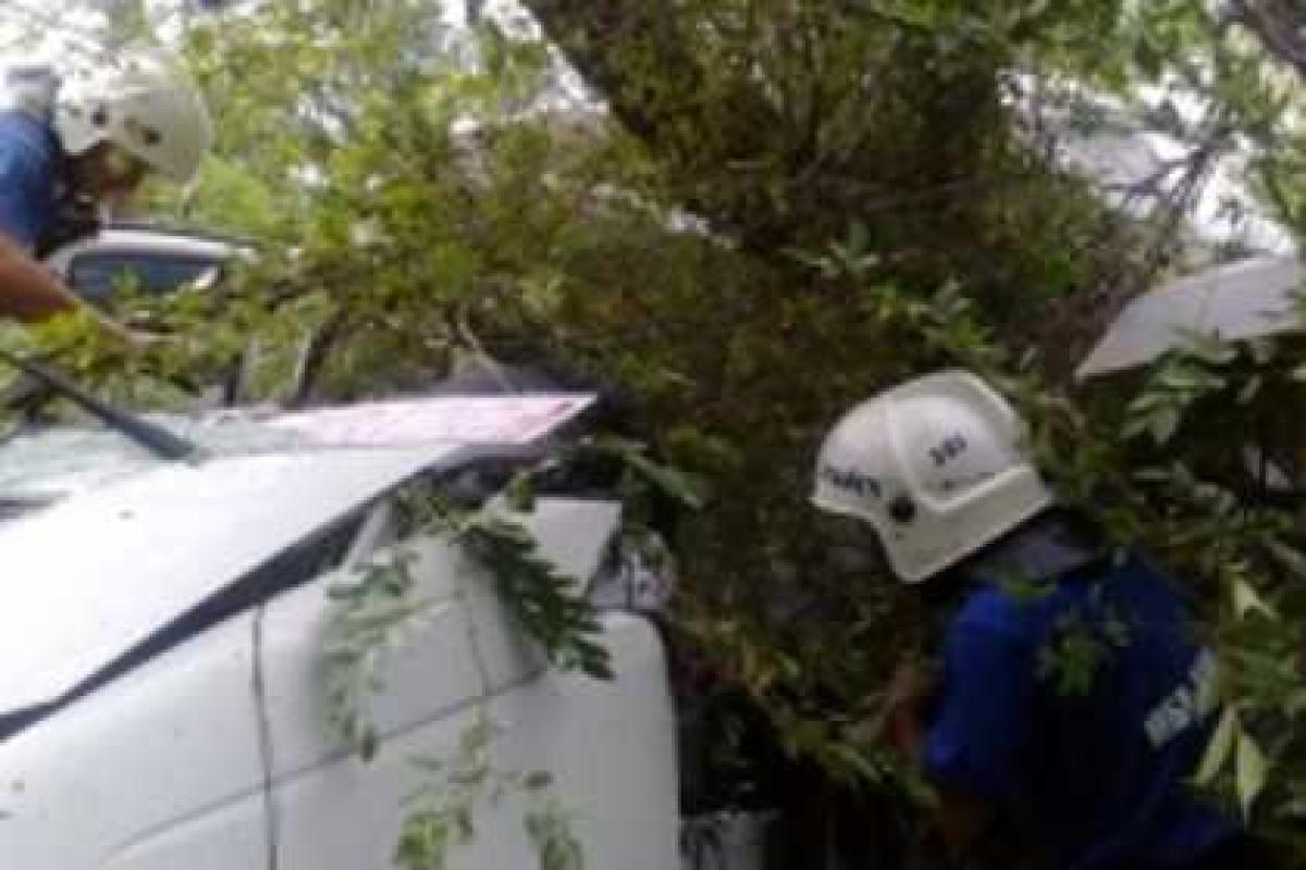 Под Ростовом автобус с туристами из Крыма попал в ДТП, есть погибшие Под Ростовом автобус с туристами из Крыма попал в ДТП, есть погибшие