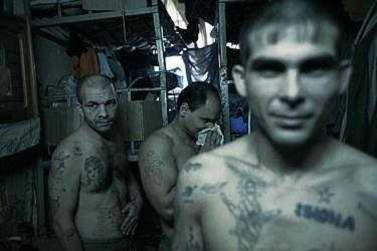 Особо опасные рецидивисты из Енакиевской колонии пополнили ряды боевиков Особо опасные рецидивисты из Енакиевской колонии пополнили ряды боевиков