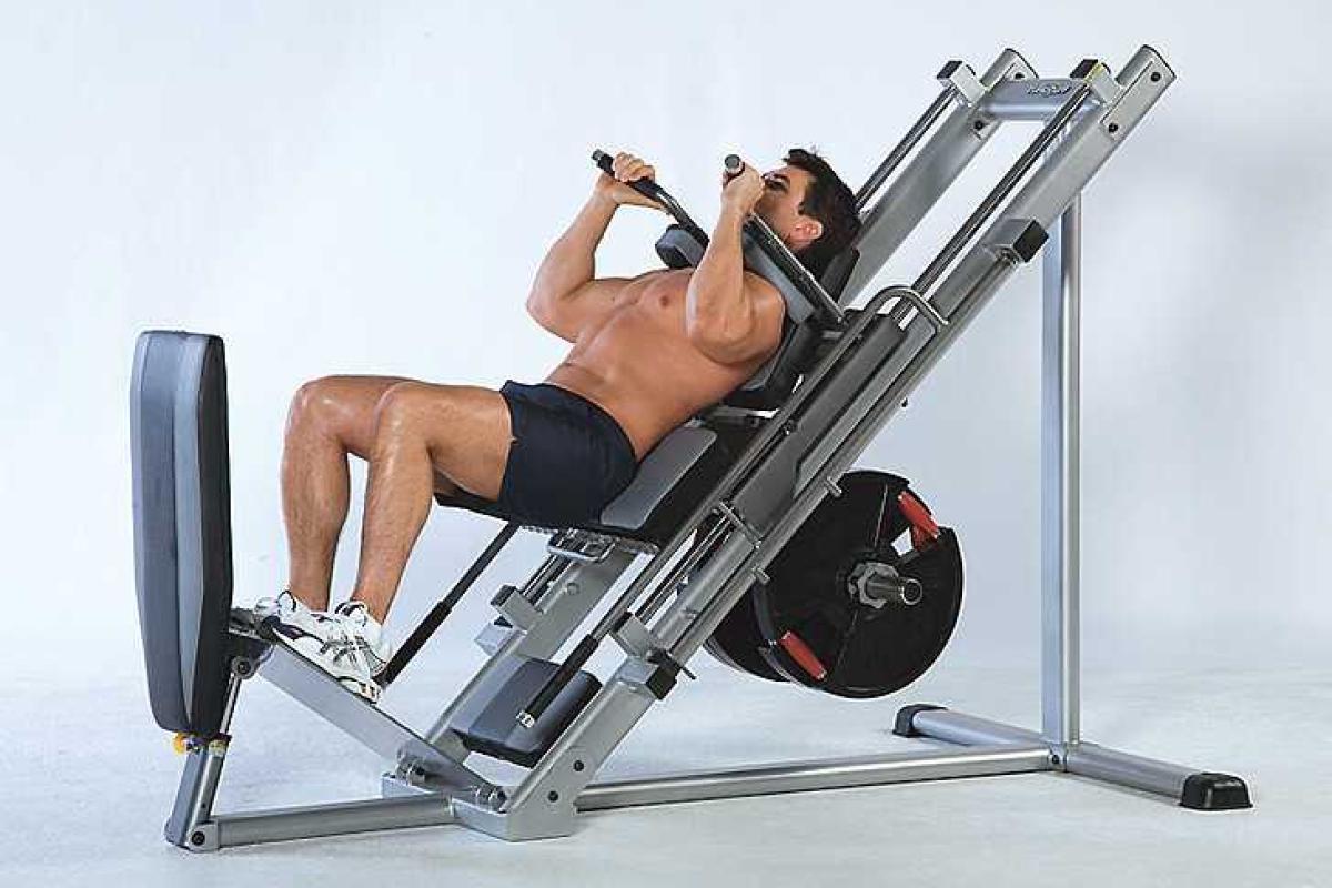 Название тренажеров и их предназначение: 15 фото Название тренажеров и их предназначение: 15 фото