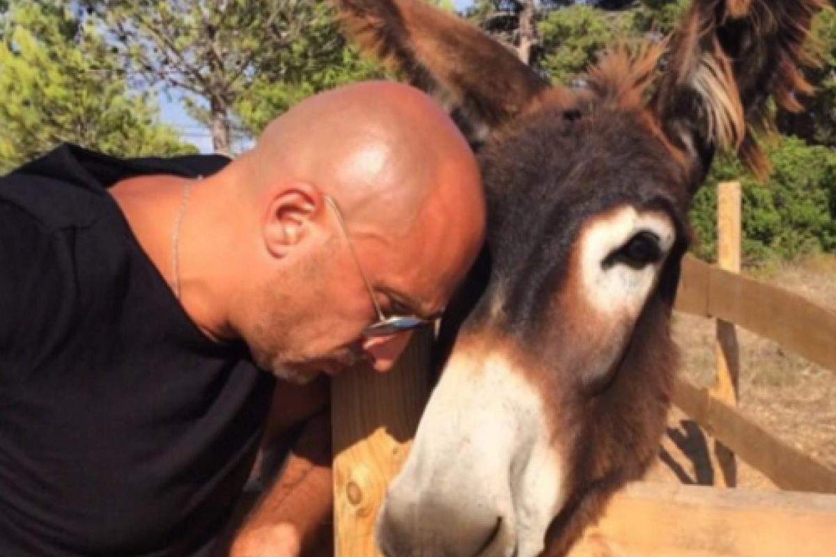 Дмитрий Нагиев устал от политики и сфотографировался с ослом
