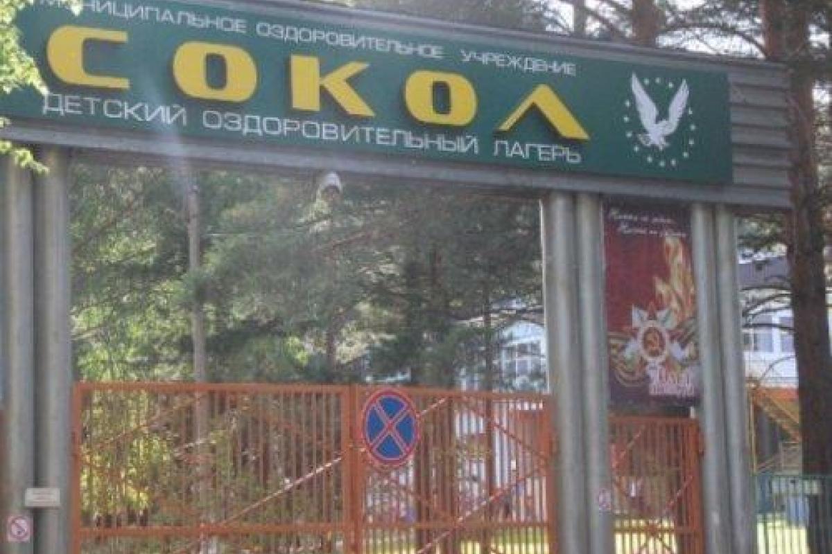 В России вожатый пытался изнасиловать 10-летнюю девочку В России вожатый пытался изнасиловать 10-летнюю девочку