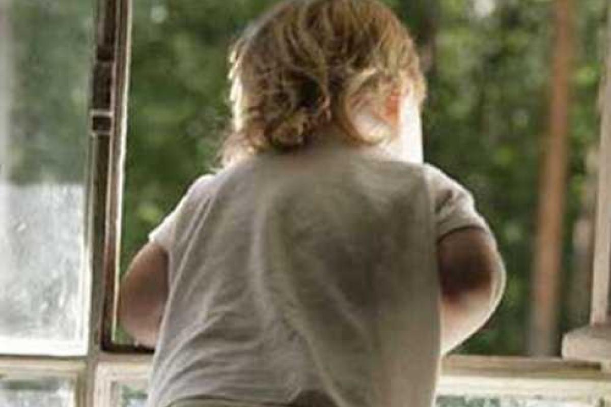 В Калининграде 2-летний мальчик выбросил из окна четвертого этажа утюг, чайник и кота В Калининграде 2-летний мальчик выбросил из окна четвертого этажа утюг, чайник и кота