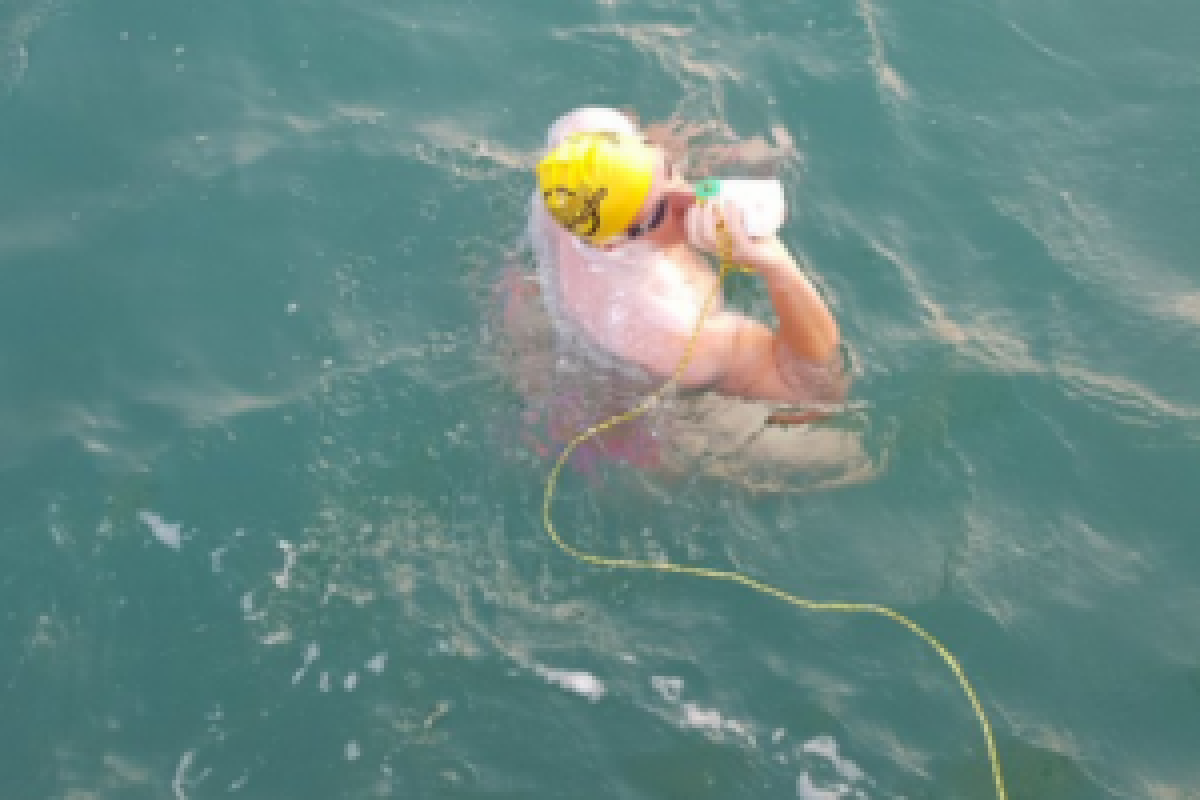 У берегов Франции произошла страшная трагедия: погиб легендарный английский пловец Ник Томас У берегов Франции произошла страшная трагедия: погиб легендарный английский пловец Ник Томас