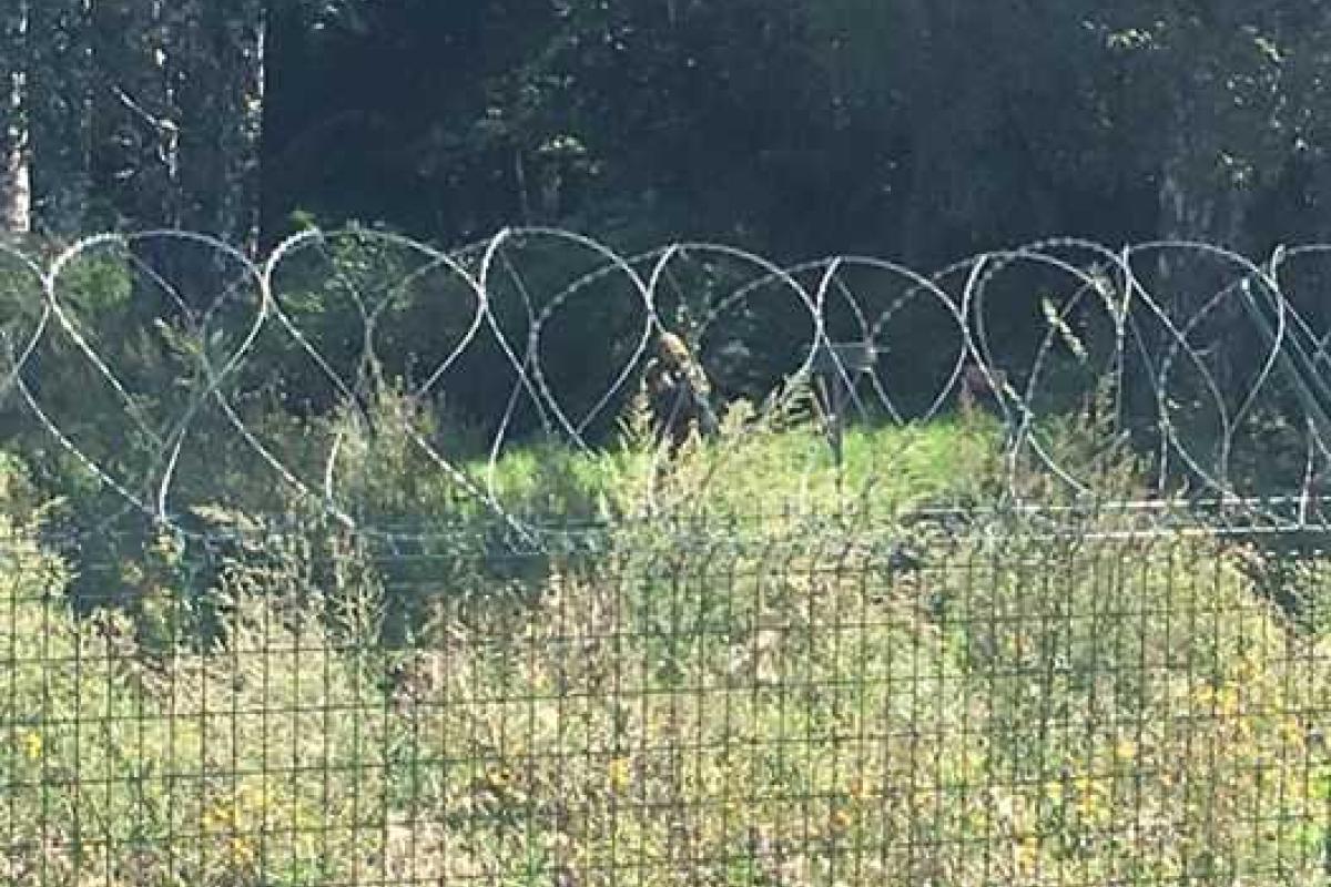 В сети показали, как выглядит проект "Стена" сегодня: в кадр попал россиянин с автоматом