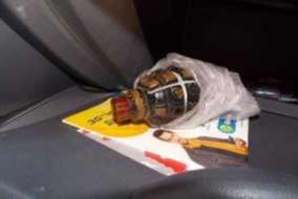 Пограничникам на украинско-польской границе удалось задержать немецкого "захватчика" с гранатой