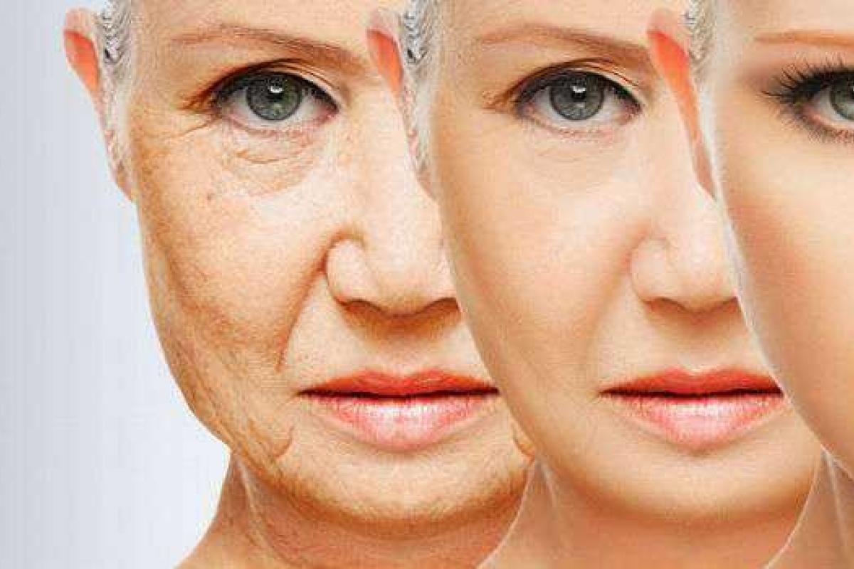 Очень скоро люди перестанут стареть - британские ученые