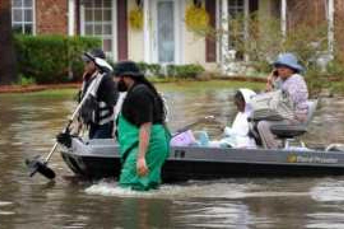 Стихия в Луизиане: люди выбираются из затопленных домов и спасают животных Стихия в Луизиане: люди выбираются из затопленных домов и спасают животных