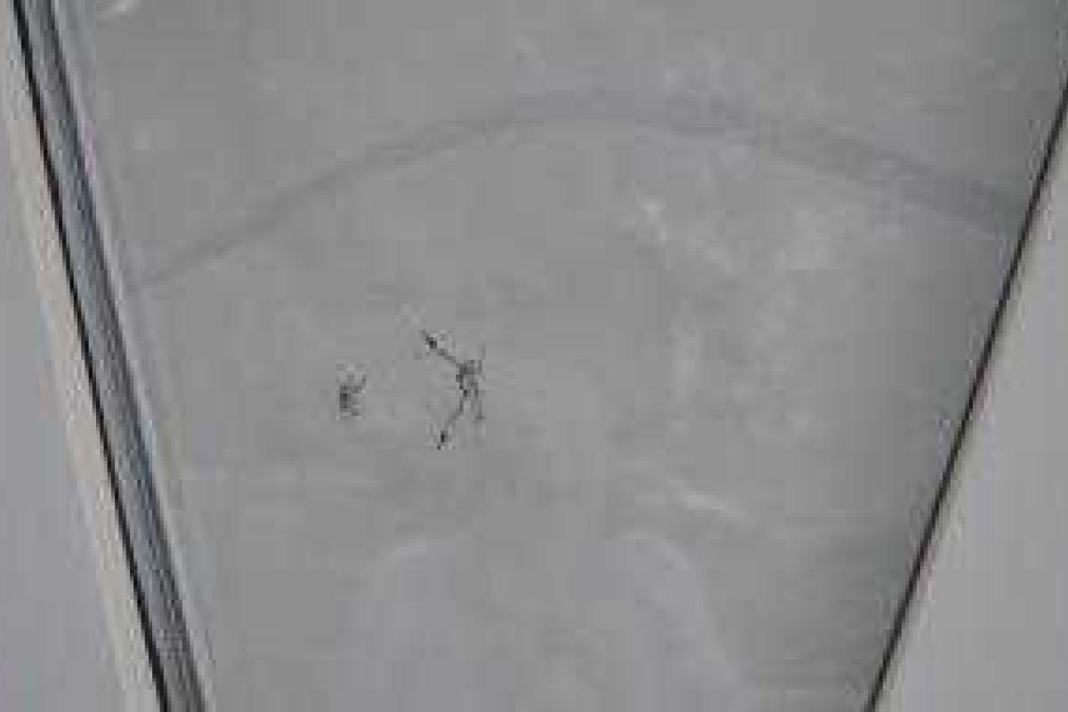 В Краматорске обстреляли здание местного телеканала