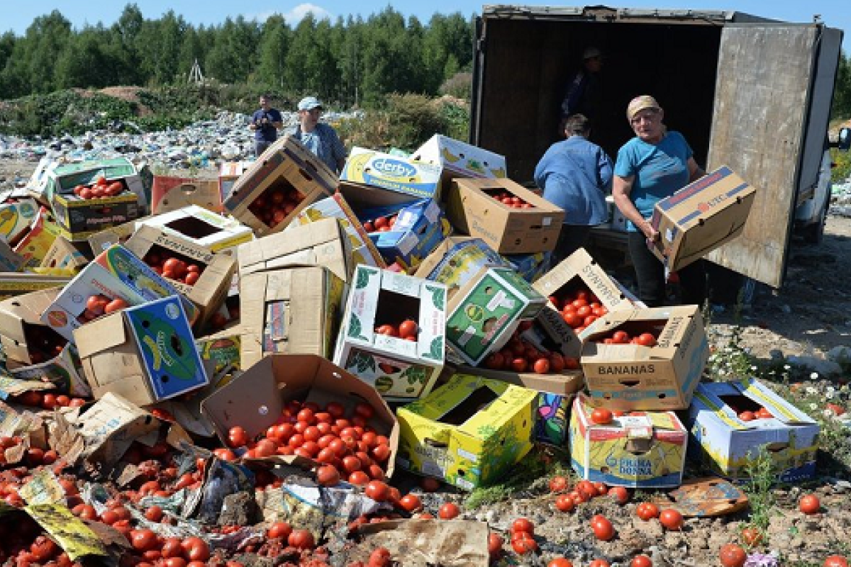 Стало известно, сколько санкционной продукции уничтожили в России Стало известно, сколько санкционной продукции уничтожили в России