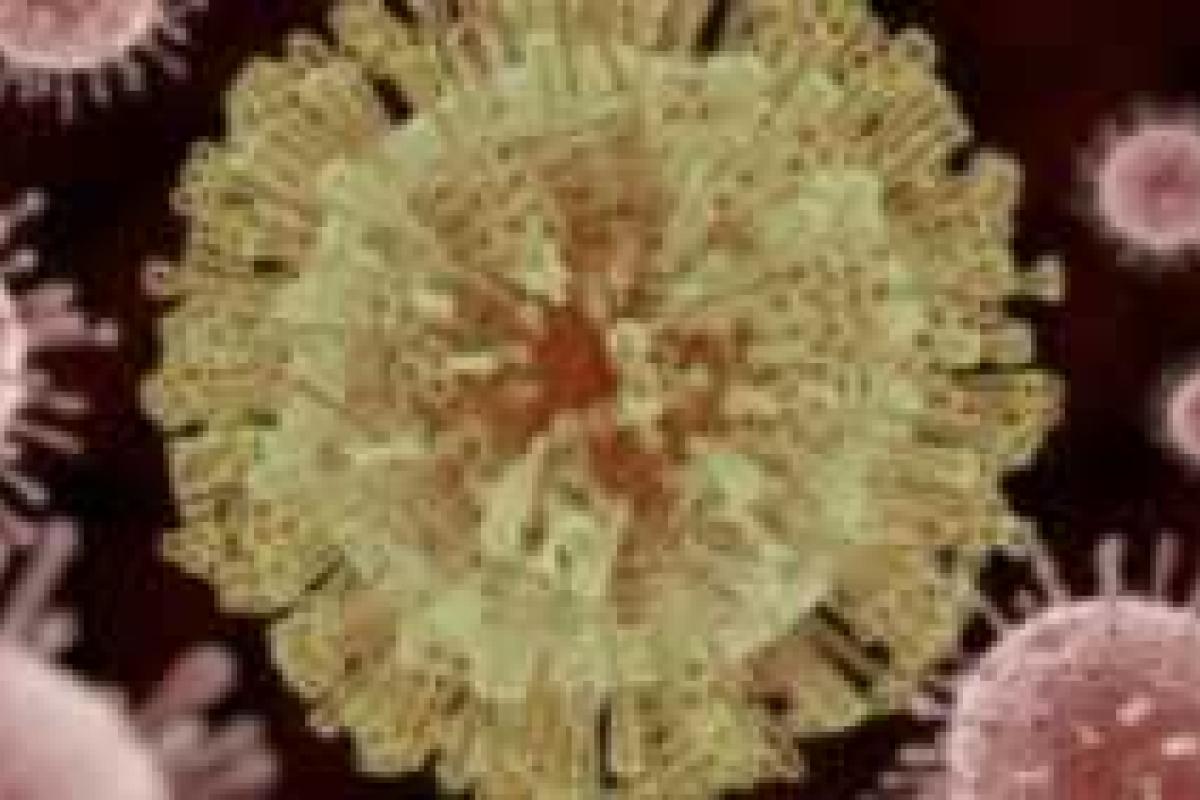 Ученые в панике: Вирус Зика оказывает серьезное влияние на мозг взрослых людей