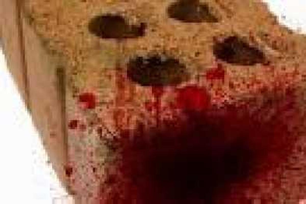 В Донецкой области женщине, хладнокровно забившей кирпичом пенсионерку, вынесли приговор В Донецкой области женщине, хладнокровно забившей кирпичом пенсионерку, вынесли приговор