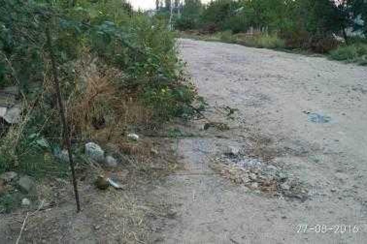 В Николаеве чудом удалось избежать беды: дети нашли в кустах гранату В Николаеве чудом удалось избежать беды: дети нашли в кустах гранату