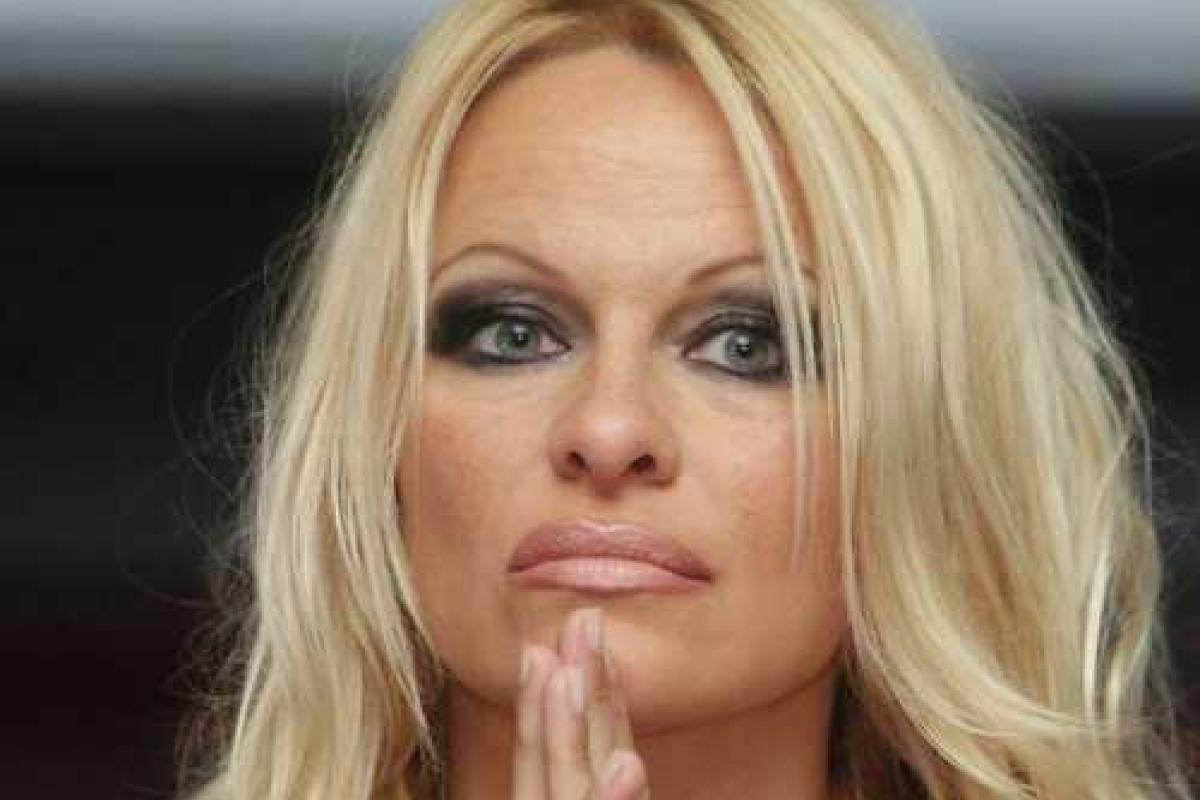 Памела Андерсон появилась в клипе французского исполнителя