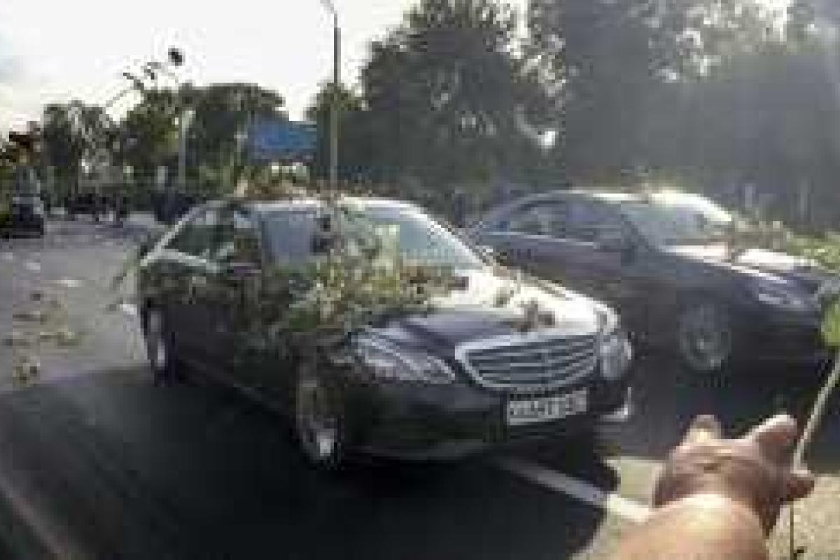 В Сети появились уникальные кадры, как с Президентом Узбекистана прощался его народ В Сети появились уникальные кадры, как с Президентом Узбекистана прощался его народ