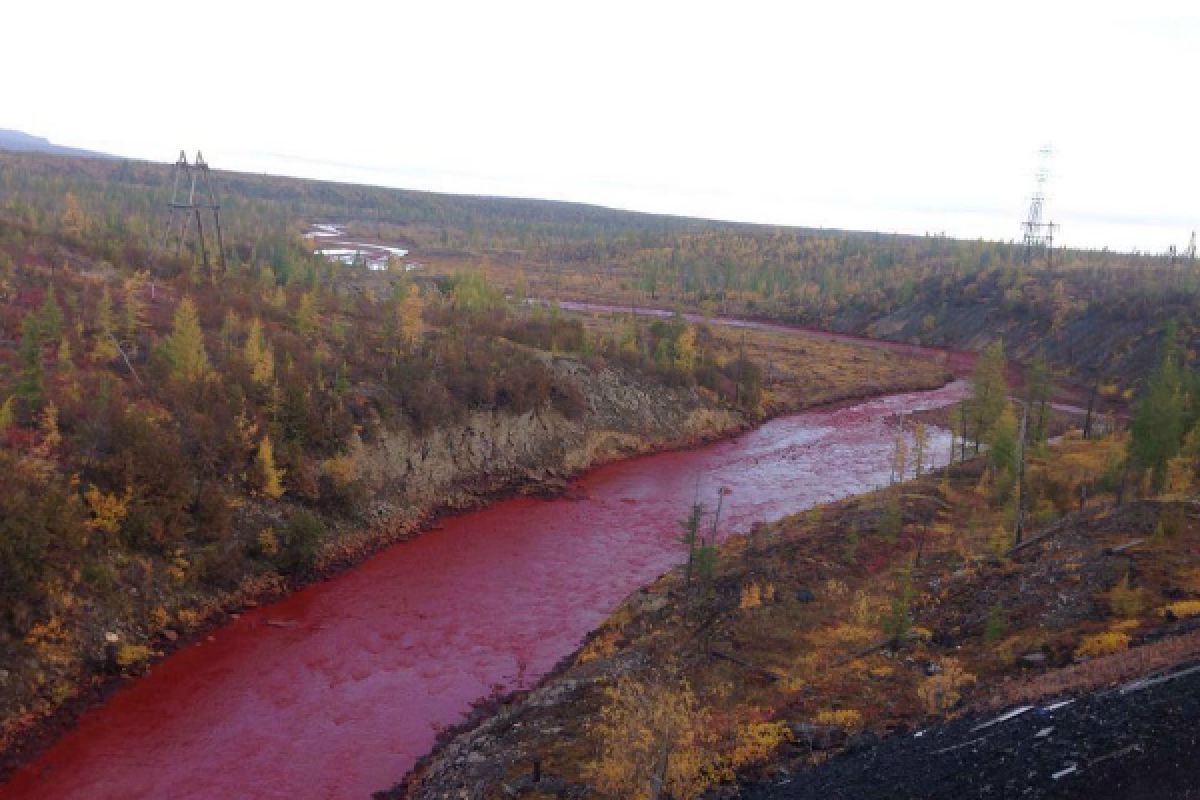 "Кровавая" река в российском городе шокировала интернет-пользователей "Кровавая" река в российском городе шокировала интернет-пользователей