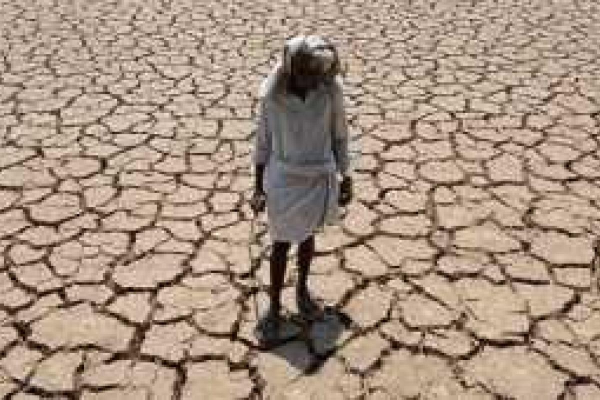 Названы виды животных, которые скоропостижно вымрут на нашей планете