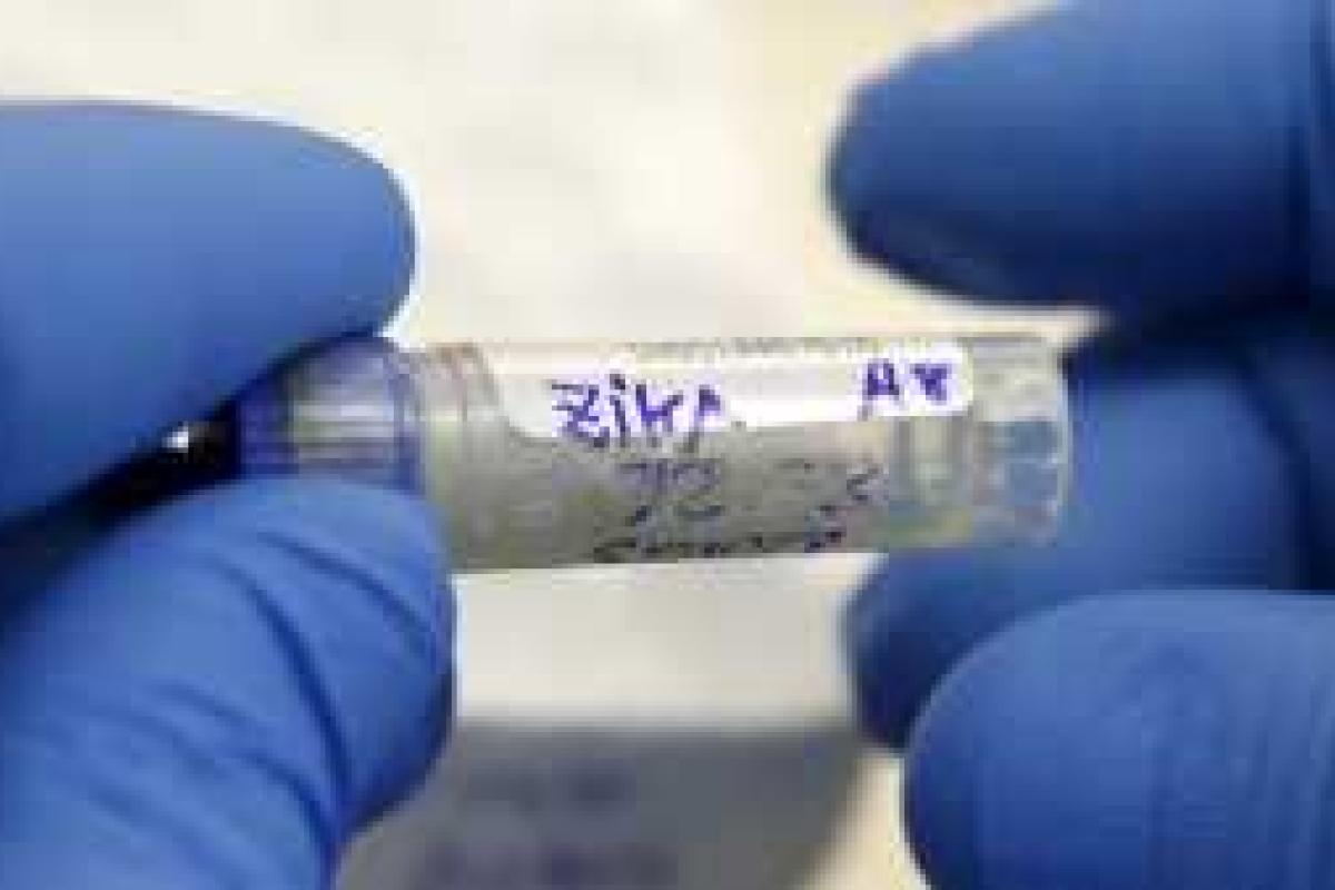 Ученые обнаружили страшную угрозу, исходящую от вируса Зика